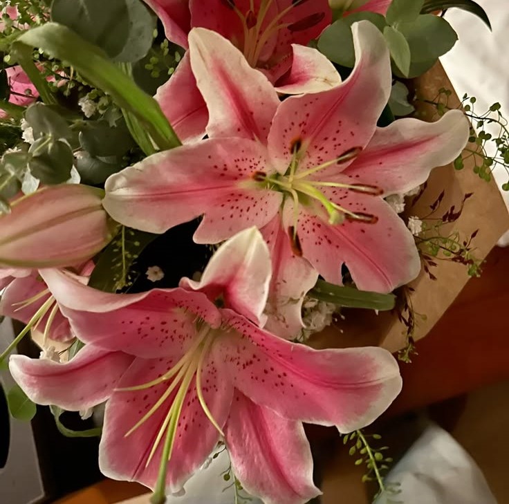 bunga lily cantik